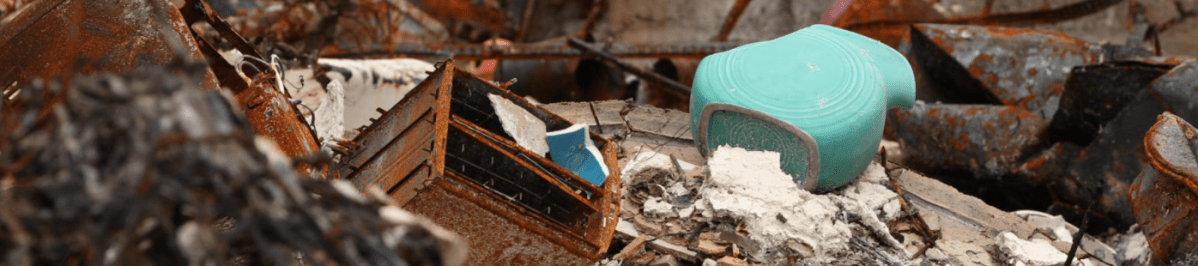 Column: Planning for the Worst Case Imaginable–HOMELAND SECURITY&nbsp;TODAY